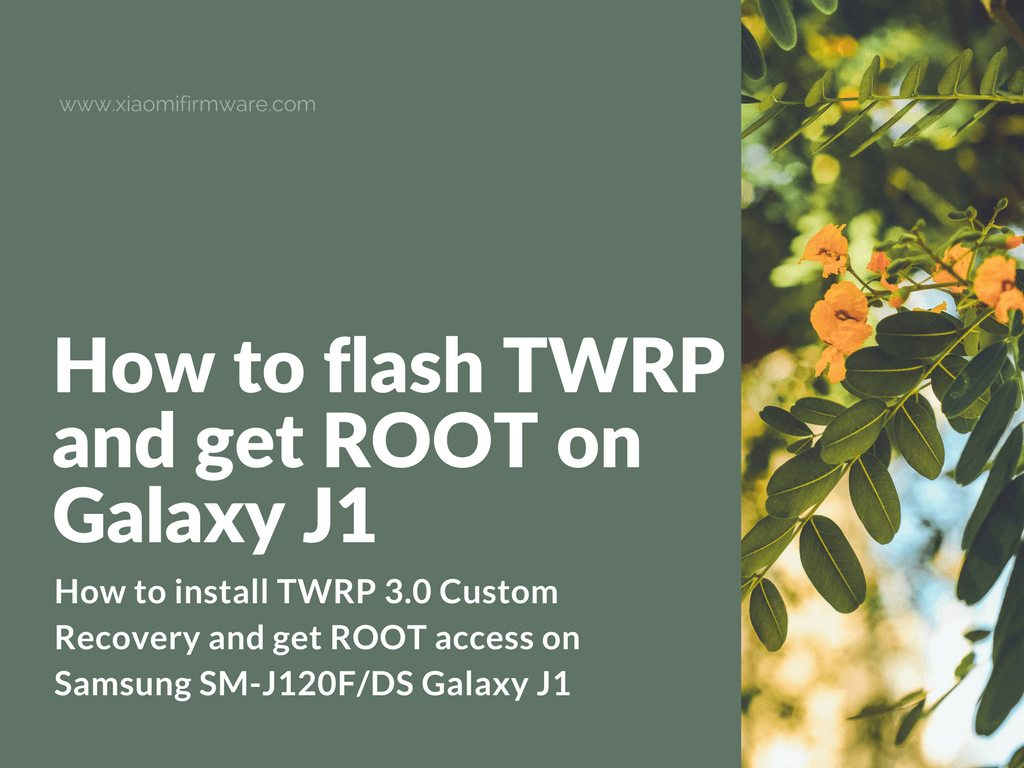 Flash TWRP and ROOT Galaxy J1