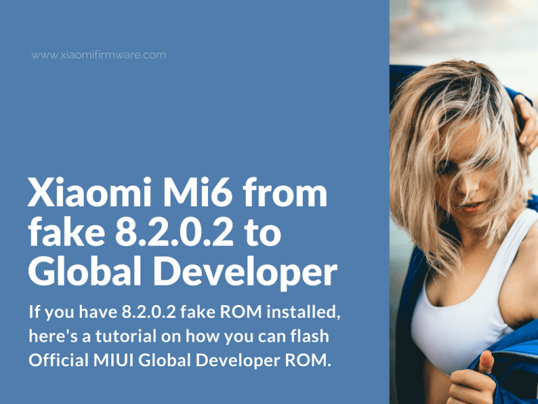 Xiaomi Mi6 from 8.2.0.2 fake ROM to Global Dev